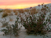 White Sands National Monument, NM