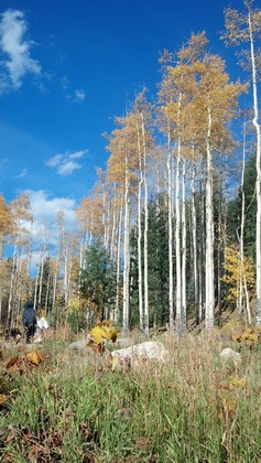 SkiBowl/Santa Fe NM