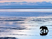Lake Clark National Park & Preserve