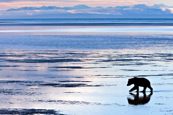 Lake Clark National Park & Preserve