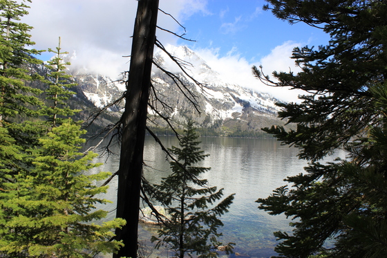 Grand Tetons