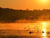 Muscatatuck National Wildlife Refuge