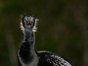 Everglades NationalPark