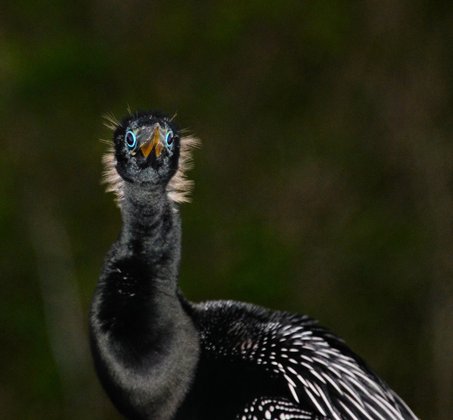 Everglades NationalPark