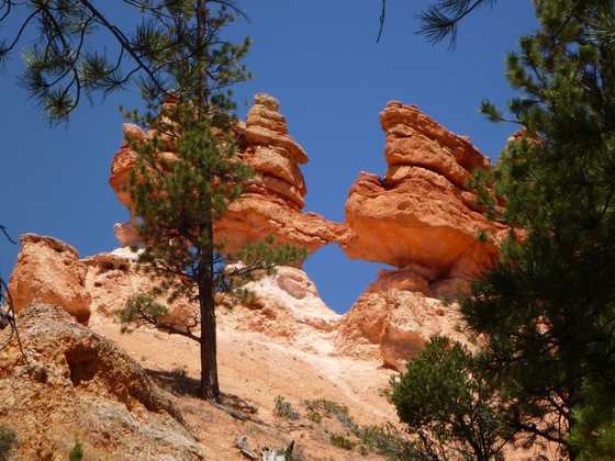 Bryce Canyon National Park