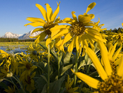 Grand Tetons National Park