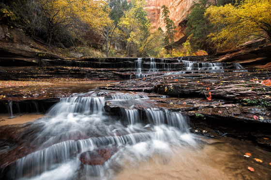 Zion National Park