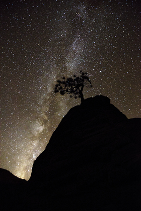 Zion National Park