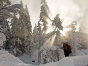 Yellowstone National Park