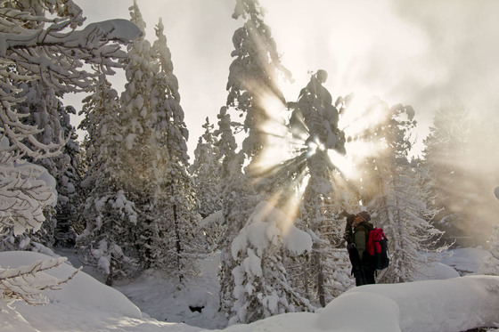 Yellowstone National Park