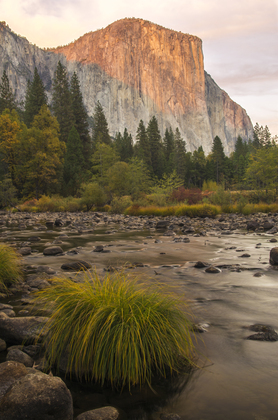 Yosemite National Park