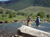 Yellowstone National Park