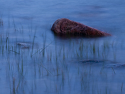 Acadia National Park