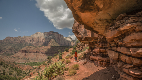 Zion National Park