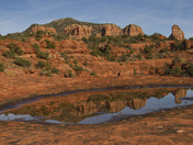 Coconino National Forest