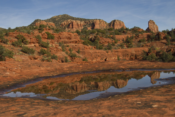 Coconino National Forest