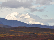 Denali National Park