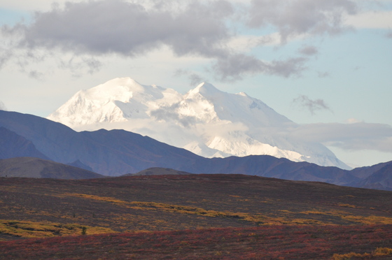 Denali National Park