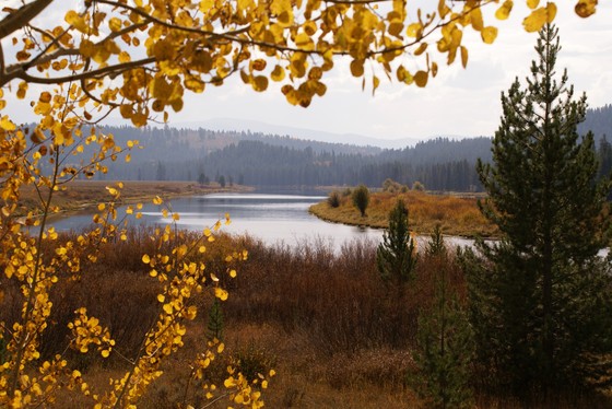 Grand Teton National Park