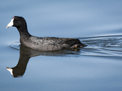 Tijuana River National Estuarine Research Reserve