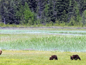 Lake Clark National Park & Preserve