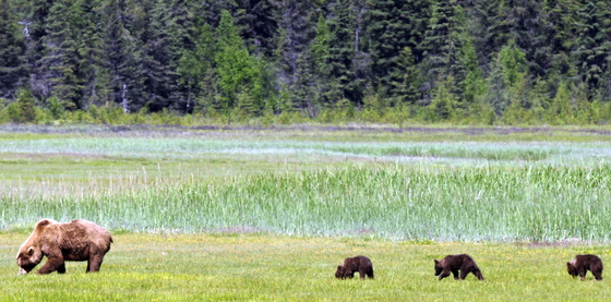 Lake Clark National Park & Preserve