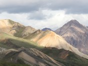 Denali National Park