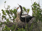 Everglades National Park