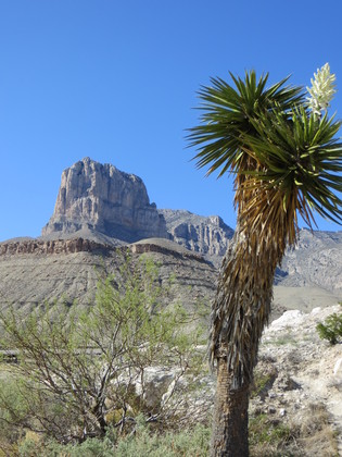 Guadalupe Mountains National Park