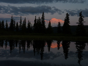 Denali National Park and Preserve