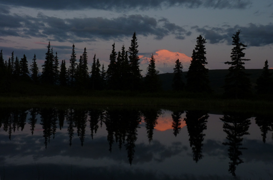 Denali National Park and Preserve
