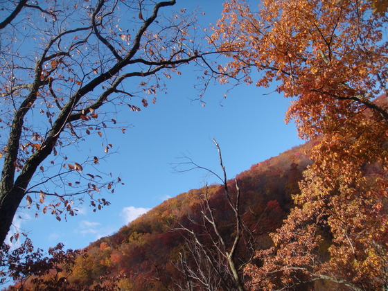 Smoky Mountains