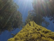 Yosemite National Park