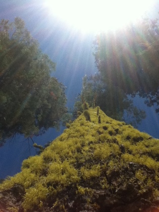 Yosemite National Park