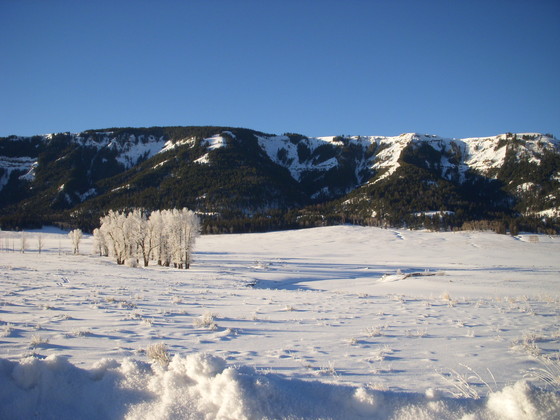 yellowstone