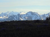 Olympic National Park
