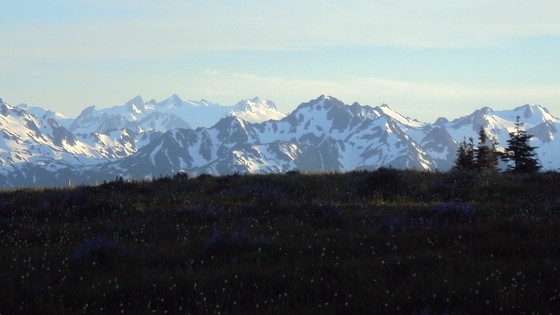 Olympic National Park