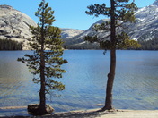 Yosemite National Park