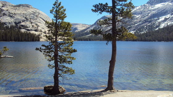 Yosemite National Park