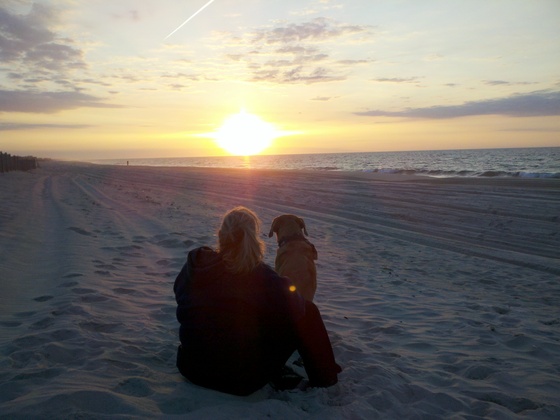 Fire Island National Seashore