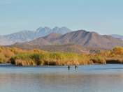 Tonto National Forest