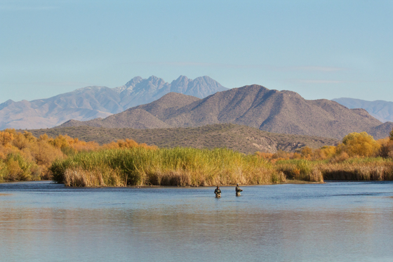 Tonto National Forest