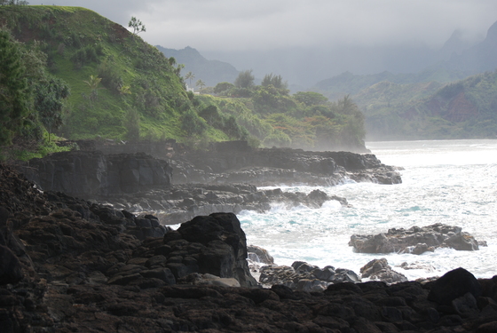 Hanalei National Wildlife Refuge