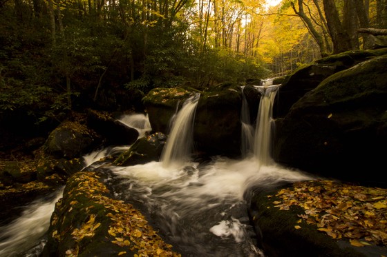 Great Smoky Mountains National Park
