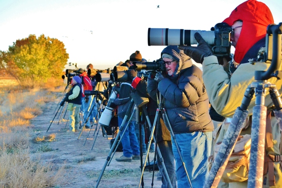 Bosque del Apache NWR