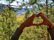 Santa Fe National Forest