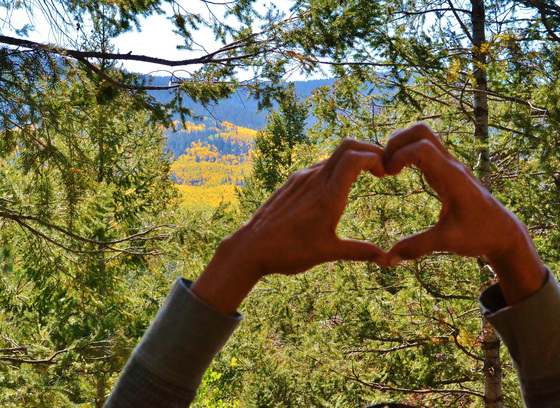 Santa Fe National Forest