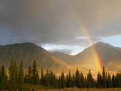 Denali National Park