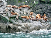 Kenai Fjiords National Park