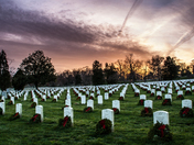 Arlington National Cemetery